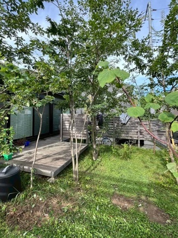 神奈川県中郡大磯町　平屋住宅の庭「ご家族の緑のある暮らしの景色」