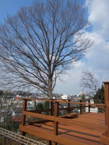 傾斜地のウッドデッキ、コナラの大木と富士山を望む　神奈川県横浜市Ｆ様邸
