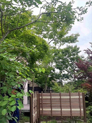 神奈川県逗子市　新築外構 工事完工から６年経過した古家の庭を活かした雑木の庭　Ｈ様邸