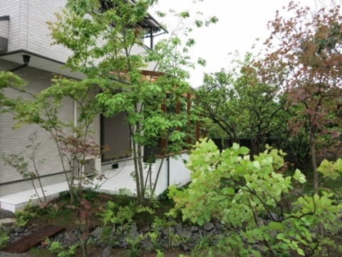 神奈川県相模原市　ココマテラスと雑木の庭にリガーデンのビフォーアフター。Ｏ様邸
