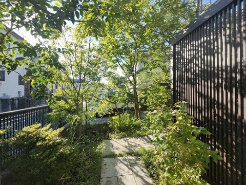 町田市　ガーデンリフォーム完工から７年経った木陰・木洩れ日が心地よい雑木の庭　Ｔ様邸