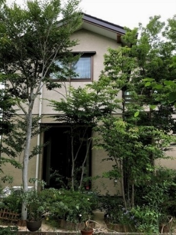 神奈川県横浜市　新築外構 パッシブな住宅＋パッシブな庭づくりの雑木の庭　～４年後の様子、森になりました。Ｙ様邸