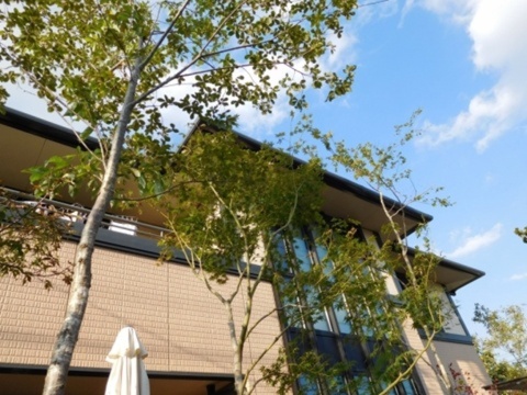 神奈川県相模原市　高木を植えて快適で素敵な庭にリフォームのビフォーアフター　Ｔ様邸
