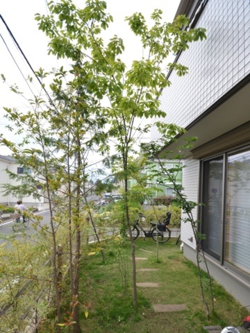 神奈川県相模原市　雑木林のように植栽リフォームでさりげなく目隠しと木陰をつくります。　Ｈ様邸

