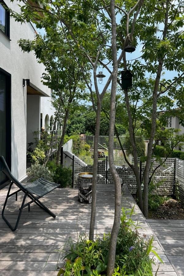 ６月初心者さんのための木陰・木漏れ日外構・庭無料相談会