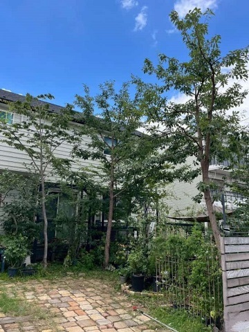 神奈川県大和市　新築外構 木陰と木漏れ日のもとでガーデニング　Ｋ様邸