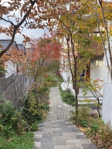 神奈川県横浜市　新築外構 隠れ家レストランのような造り込み過ぎないナチュラルガーデン・エクステリア～冬の景色　Ｈ様邸