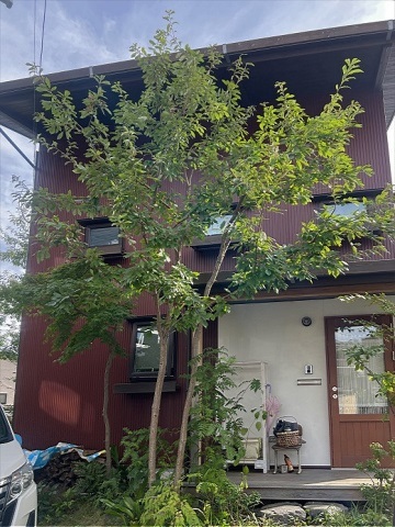 神奈川県秦野市　新築外構 雑木の庭で、太陽と風、自然を取り込みやすく快適な家。　Ｓ様邸