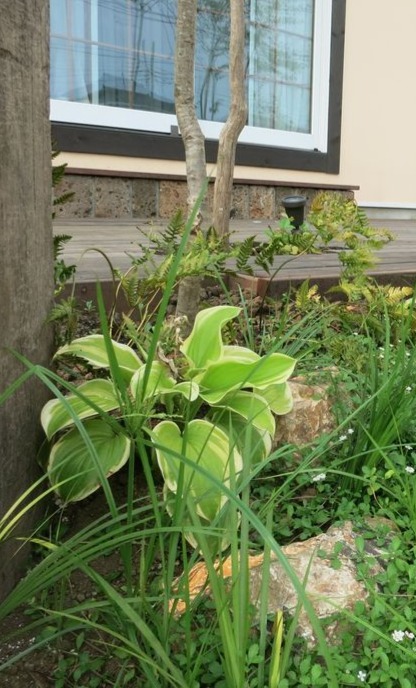 家族の思い出を育む庭