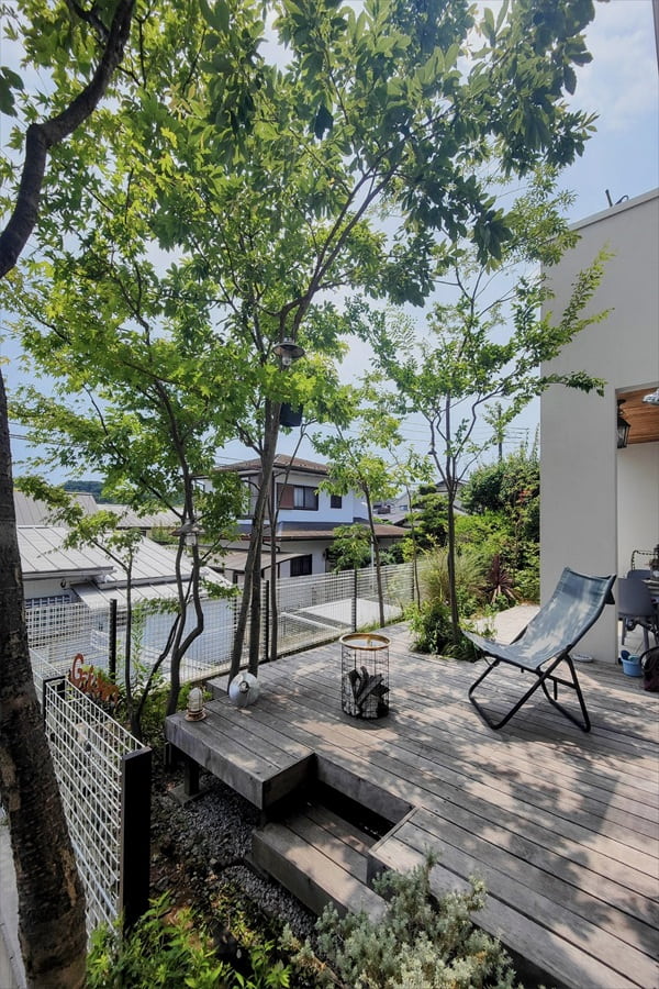 木漏れ日が差し込む建築