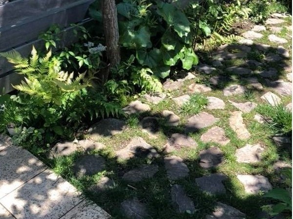 assets/images/11lp/soudan2607085.jpg